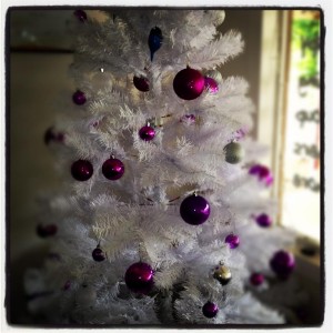 Carmen Purple Tree