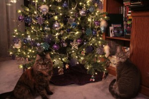 Diane Tree Plus Kitties