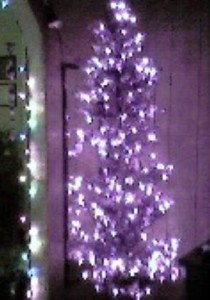 Karrie Purple Tree