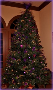 Mandi Purple Tree