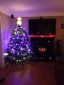 Pam Indoor Purple Tree