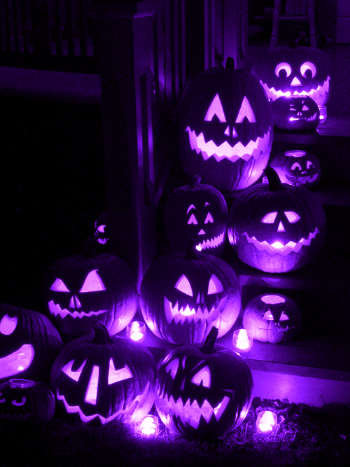 206157-Purple-Pumpkin-Lights